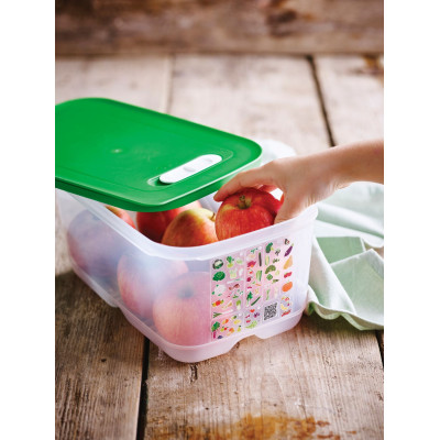 מיכל אחסון Tupperware FridgeSmart 4.4 ליטר