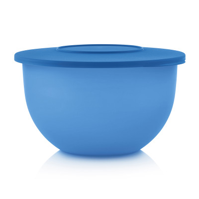 קופסת אכסון עם מכסה Tupperware Expression 4.3 ליטר