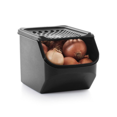 קופסת אחסון למקרר Tupperware בצל ושום 5.5 ליטר