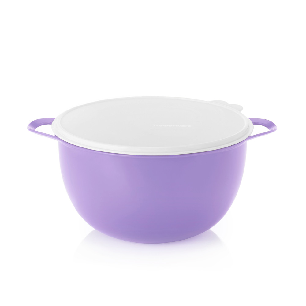  קערה עם מכסה Tupperware Thatsa Bowl 10 ליטר 